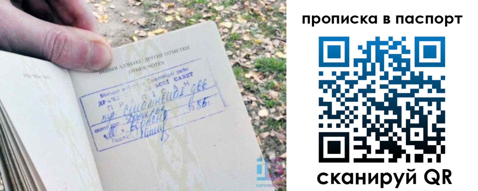 временная регистрация собственник в Балтийске